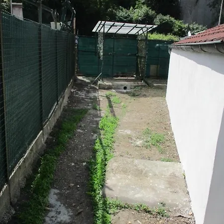 Appartement Baciccia A Maina *